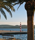 palms-and-lighthouse-in-tivat-montenegro-1341561-m
