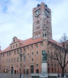 gothic-town-hall-in-the-city-of-teutonic-order-975084-m